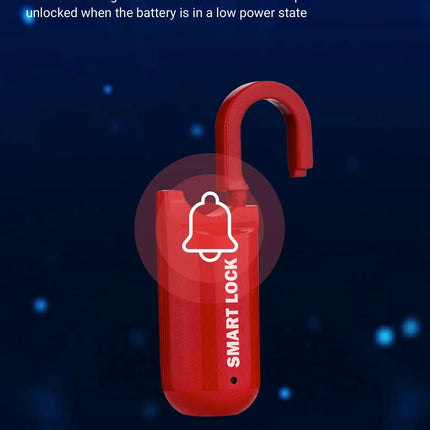 Compact, Rechargeable USB Fingerprint Smart Lock